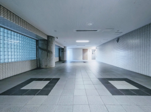 神戸市須磨区白川台、中古マンションのエントランス画像です