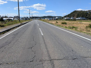 八戸市大字市川町、土地の画像です