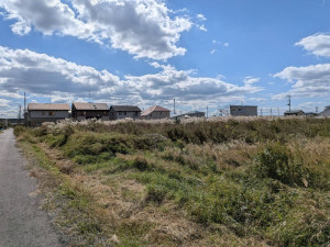 八戸市大字市川町、土地の画像です