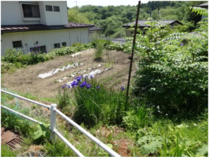 八戸市大字石手洗、土地の画像です
