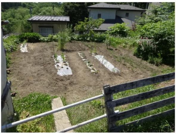 八戸市大字石手洗、土地の画像です