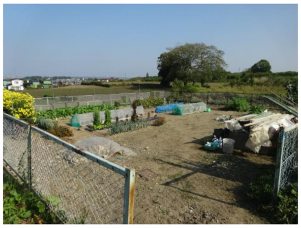 八戸市大字糠塚、土地の画像です