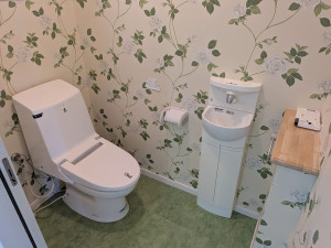 八戸市大字新井田、中古一戸建てのトイレ画像です