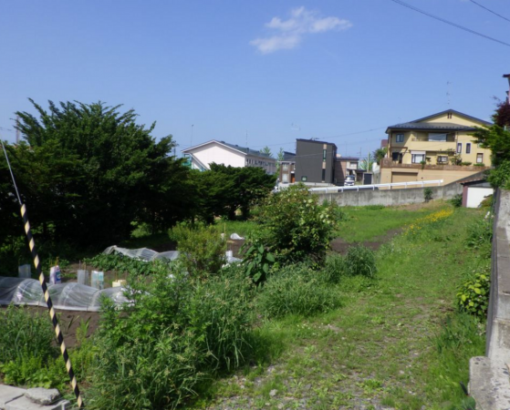 八戸市大字根城、土地の画像です