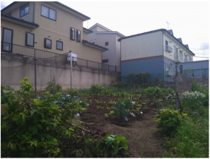八戸市大字鮫町、土地の画像です