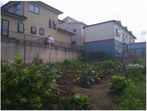 八戸市大字鮫町、土地の画像です