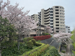 横浜市都筑区早渕、中古マンションの外観画像です
