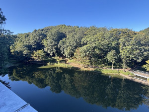 横浜市都筑区茅ケ崎中央、中古マンションの公園画像です