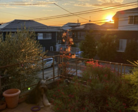 横浜市都筑区川和台、中古一戸建ての画像です