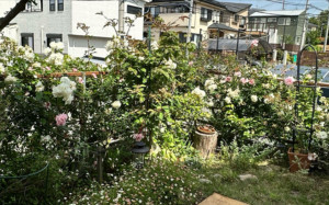 横浜市都筑区川和台、中古一戸建ての画像です
