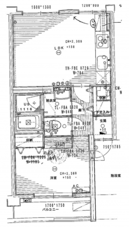 板橋区南常盤台、中古マンションの間取り画像です