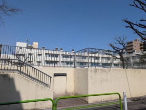 板橋区中丸町、中古マンションの小学校画像です