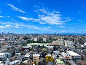 板橋区幸町、中古マンションの周辺の街並み画像です