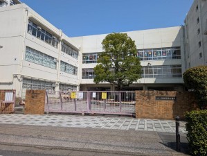 板橋区東坂下、中古マンションの中学校画像です