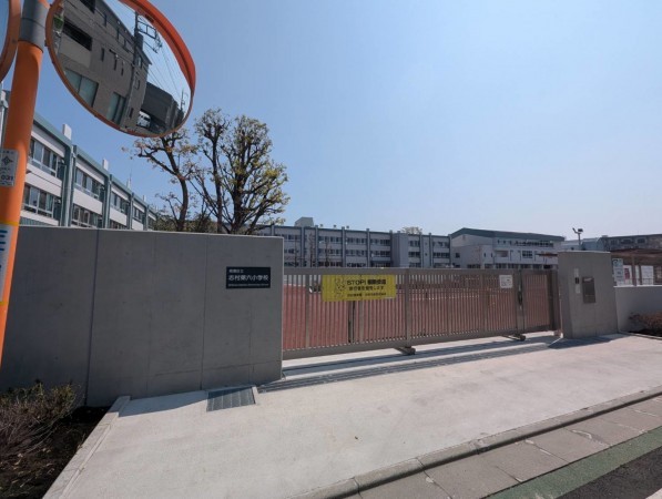 板橋区東坂下、中古マンションの小学校画像です