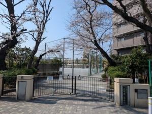 板橋区徳丸、中古一戸建ての中学校画像です