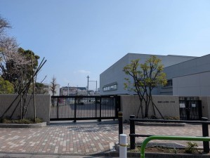 板橋区赤塚、中古マンションの中学校画像です