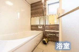 板橋区中丸町、中古マンションの風呂画像です