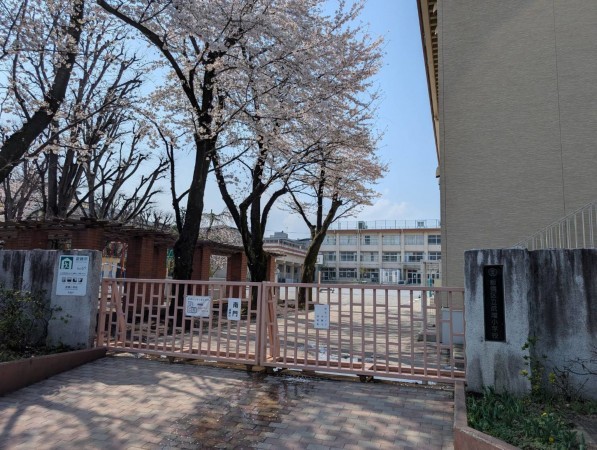 板橋区赤塚新町、中古マンションの小学校画像です