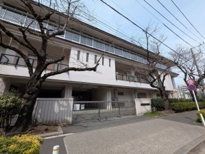 板橋区加賀、中古マンションの中学校画像です