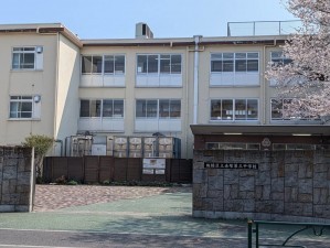 板橋区赤塚新町、中古マンションの中学校画像です