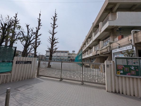 板橋区小茂根、中古マンションの小学校画像です