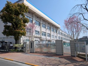 板橋区西台、土地の中学校画像です