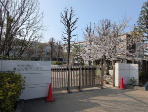 板橋区西台、土地の小学校画像です