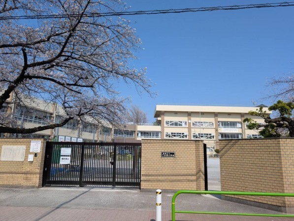 板橋区赤塚新町、中古マンションの小学校画像です