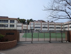 板橋区小茂根、中古マンションの小学校画像です