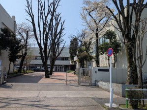 板橋区三園、新築一戸建ての中学校画像です