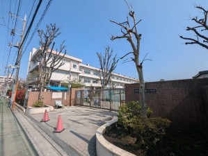 板橋区三園、新築一戸建ての小学校画像です
