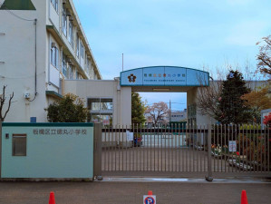 板橋区徳丸、収益物件/アパートの小学校画像です