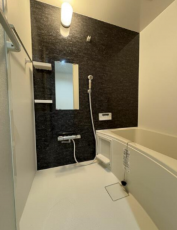 板橋区徳丸、収益物件/アパートの風呂画像です