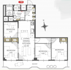 板橋区大山金井町、中古マンションの間取り画像です
