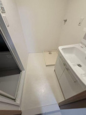 板橋区大山金井町、中古マンションの洗面画像です