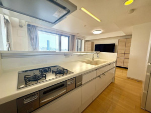 板橋区中丸町、中古マンションのキッチン画像です