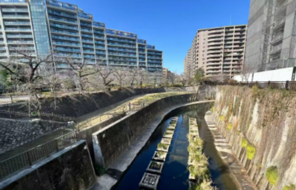 板橋区加賀、中古マンションの周辺画像画像です