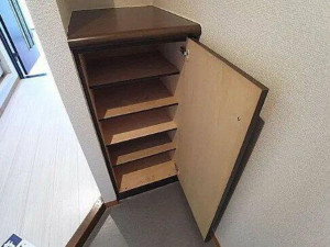 板橋区熊野町、中古マンションの収納画像です