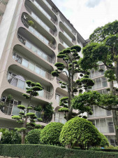 福岡市中央区今泉、中古マンションの外観画像です