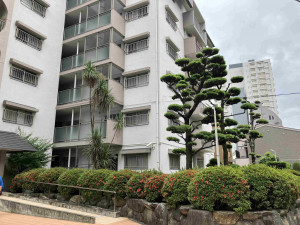 福岡市中央区今泉、中古マンションの外観画像です