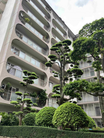 福岡市中央区今泉、中古マンションの外観画像です