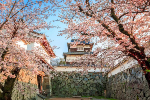 福岡市中央区大手門、中古マンションの周辺画像画像です