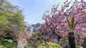 福岡市中央区御所ヶ谷、土地の周辺画像画像です