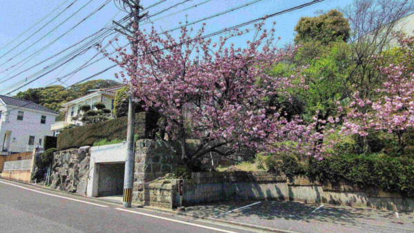 福岡市中央区御所ヶ谷、土地の外観画像です