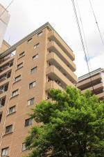 福岡市中央区梅光園、中古マンションの外観画像です