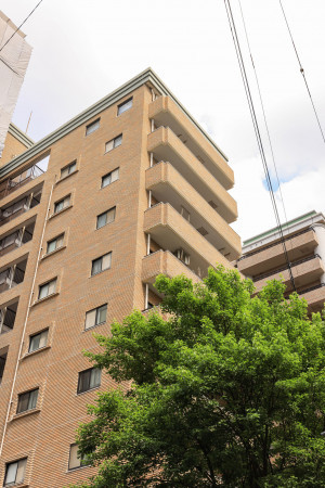 福岡市中央区梅光園、中古マンションの外観画像です