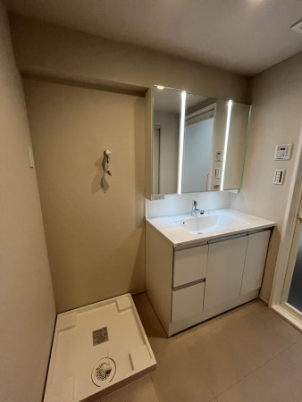 福岡市中央区大手門、中古マンションの洗面画像です