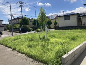 秋田市東通、土地の画像です