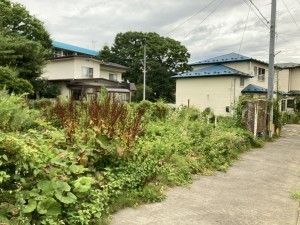 秋田市楢山南新町上丁、土地の画像です